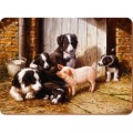 Creative Tops Tablemat & Coaster Set - Piggy in the Middle